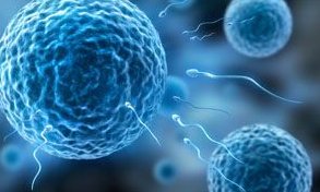 泰国杰特宁医院的三代试管婴儿技术成熟吗？优秀行业！