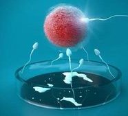 2026年想去柳州市做试管婴儿需要准备哪些事？详细收费明细一览