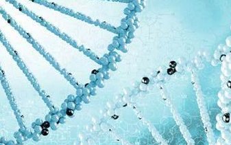 四川省人民医院做试管婴儿要多少钱？