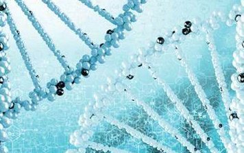 济南钢城区在哪做试管婴儿，济南哪里能做试管婴儿