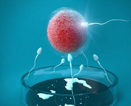 子宫有五公分的腺肌瘤做试管胚胎移植有没有成功的姐妹？